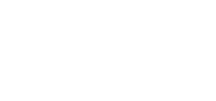 Fracasando con Éxito